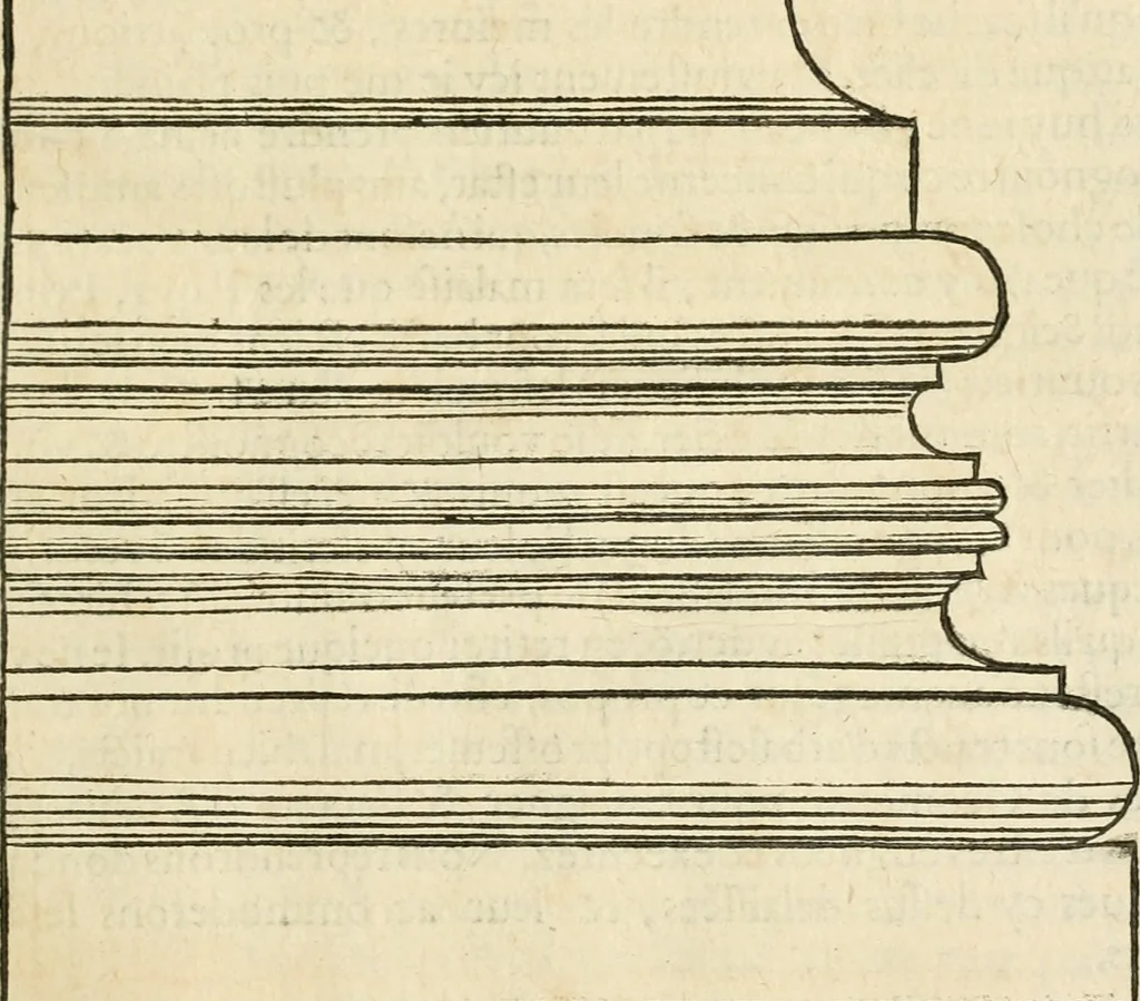 An illustration from Architecture de Philibert de l'Orme ... : uure entiere contenant onze livres, augmentée de deux, & autres figures non encores veuës, tant pour desseins qu'ornemens de maisons : avec vne belle inuention pour bien bastir, & à petits fraiz .., 1626, leaf 116