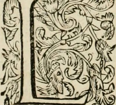 An illustration from Architecture de Philibert de l'Orme ... : uure entiere contenant onze livres, augmentée de deux, & autres figures non encores veuës, tant pour desseins qu'ornemens de maisons : avec vne belle inuention pour bien bastir, & à petits fraiz .., 1626, leaf 17