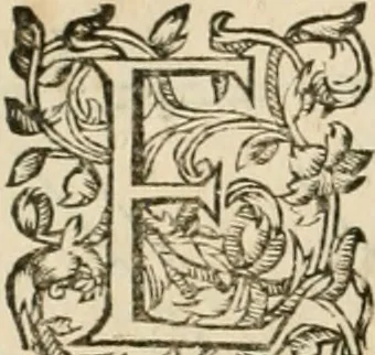 An illustration from Architecture de Philibert de l'Orme ... : uure entiere contenant onze livres, augmentée de deux, & autres figures non encores veuës, tant pour desseins qu'ornemens de maisons : avec vne belle inuention pour bien bastir, & à petits fraiz .., 1626, leaf 171
