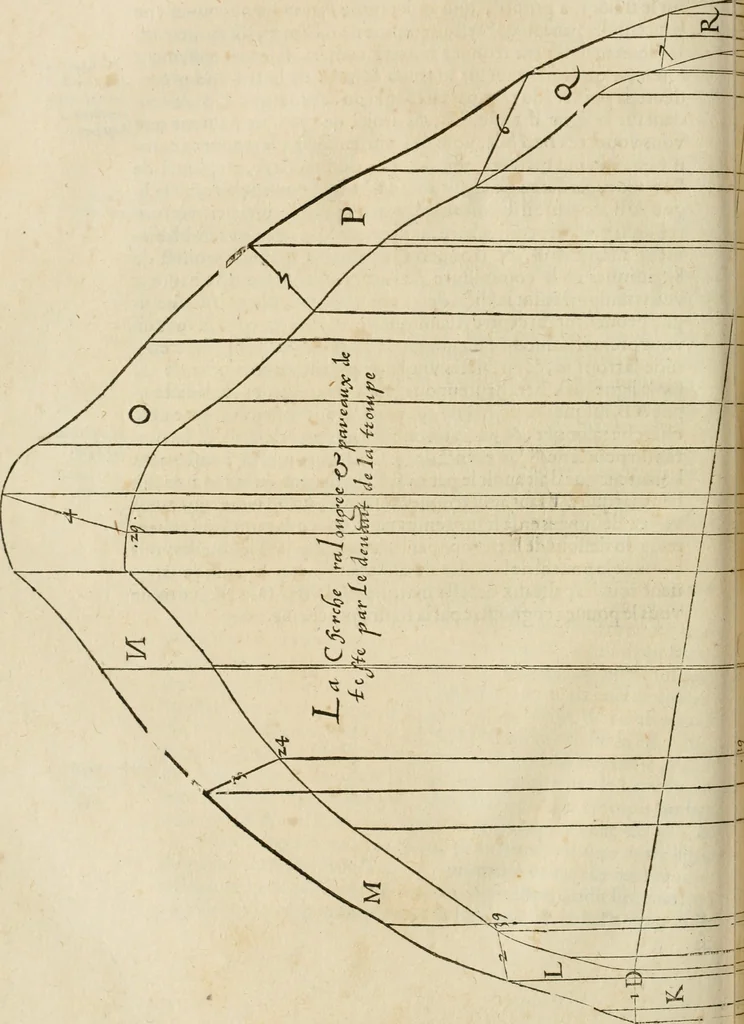 An illustration from Architecture de Philibert de l'Orme ... : uure entiere contenant onze livres, augmentée de deux, & autres figures non encores veuës, tant pour desseins qu'ornemens de maisons : avec vne belle inuention pour bien bastir, & à petits fraiz .., 1626, leaf 191