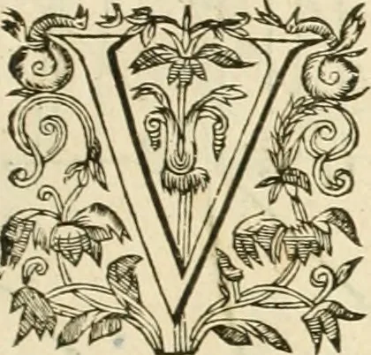 An illustration from Architecture de Philibert de l'Orme ... : uure entiere contenant onze livres, augmentée de deux, & autres figures non encores veuës, tant pour desseins qu'ornemens de maisons : avec vne belle inuention pour bien bastir, & à petits fraiz .., 1626, leaf 194
