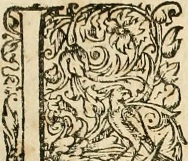 An illustration from Architecture de Philibert de l'Orme ... : uure entiere contenant onze livres, augmentée de deux, & autres figures non encores veuës, tant pour desseins qu'ornemens de maisons : avec vne belle inuention pour bien bastir, & à petits fraiz .., 1626, leaf 216