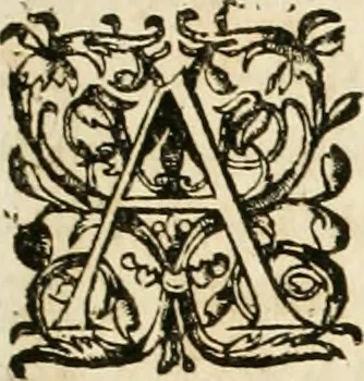 An illustration from Architecture de Philibert de l'Orme ... : uure entiere contenant onze livres, augmentée de deux, & autres figures non encores veuës, tant pour desseins qu'ornemens de maisons : avec vne belle inuention pour bien bastir, & à petits fraiz .., 1626, leaf 22