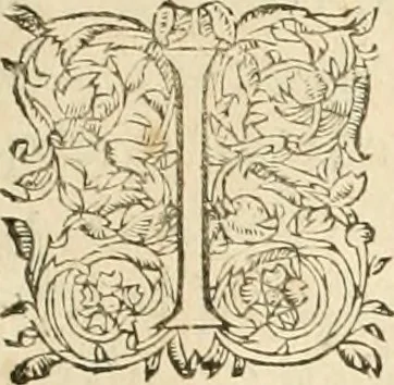 An illustration from Architecture de Philibert de l'Orme ... : uure entiere contenant onze livres, augmentée de deux, & autres figures non encores veuës, tant pour desseins qu'ornemens de maisons : avec vne belle inuention pour bien bastir, & à petits fraiz .., 1626, leaf 238
