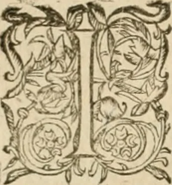 An illustration from Architecture de Philibert de l'Orme ... : uure entiere contenant onze livres, augmentée de deux, & autres figures non encores veuës, tant pour desseins qu'ornemens de maisons : avec vne belle inuention pour bien bastir, & à petits fraiz .., 1626, leaf 271