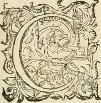 An illustration from Architecture de Philibert de l'Orme ... : uure entiere contenant onze livres, augmentée de deux, & autres figures non encores veuës, tant pour desseins qu'ornemens de maisons : avec vne belle inuention pour bien bastir, & à petits fraiz .., 1626, leaf 274