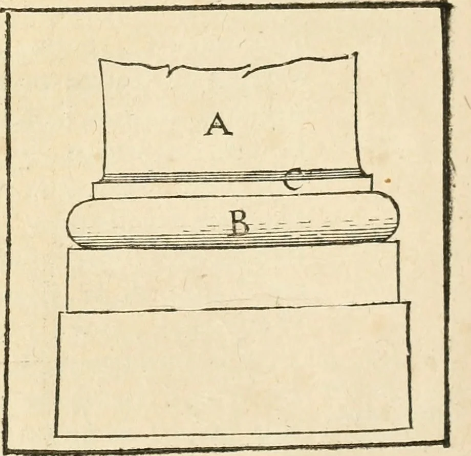 An illustration from Architecture de Philibert de l'Orme ... : uure entiere contenant onze livres, augmentée de deux, & autres figures non encores veuës, tant pour desseins qu'ornemens de maisons : avec vne belle inuention pour bien bastir, & à petits fraiz .., 1626, leaf 278