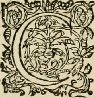 An illustration from Architecture de Philibert de l'Orme ... : uure entiere contenant onze livres, augmentée de deux, & autres figures non encores veuës, tant pour desseins qu'ornemens de maisons : avec vne belle inuention pour bien bastir, & à petits fraiz .., 1626, leaf 29