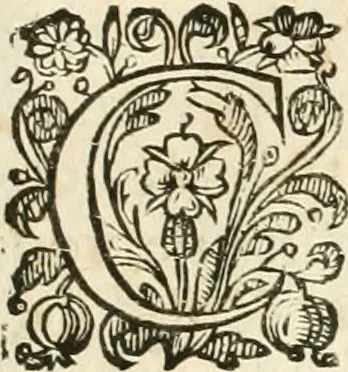 An illustration from Architecture de Philibert de l'Orme ... : uure entiere contenant onze livres, augmentée de deux, & autres figures non encores veuës, tant pour desseins qu'ornemens de maisons : avec vne belle inuention pour bien bastir, & à petits fraiz .., 1626, leaf 298