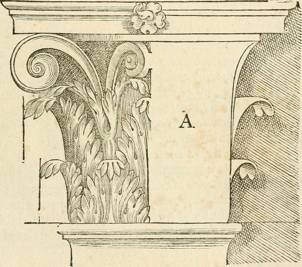 An illustration from Architecture de Philibert de l'Orme ... : uure entiere contenant onze livres, augmentée de deux, & autres figures non encores veuës, tant pour desseins qu'ornemens de maisons : avec vne belle inuention pour bien bastir, & à petits fraiz .., 1626, leaf 302