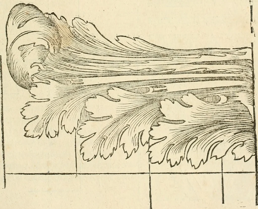 An illustration from Architecture de Philibert de l'Orme ... : uure entiere contenant onze livres, augmentée de deux, & autres figures non encores veuës, tant pour desseins qu'ornemens de maisons : avec vne belle inuention pour bien bastir, & à petits fraiz .., 1626, leaf 304