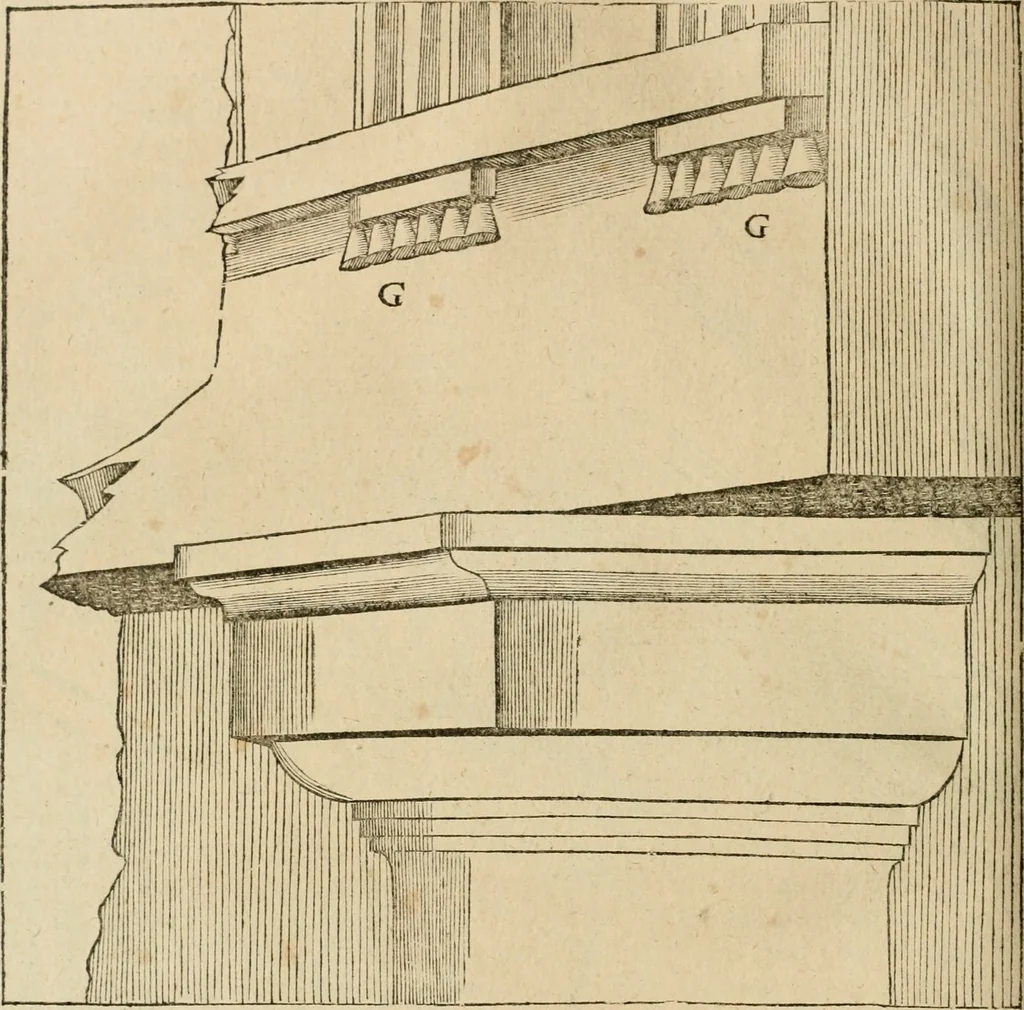An illustration from Architecture de Philibert de l'Orme ... : uure entiere contenant onze livres, augmentée de deux, & autres figures non encores veuës, tant pour desseins qu'ornemens de maisons : avec vne belle inuention pour bien bastir, & à petits fraiz .., 1626, leaf 309