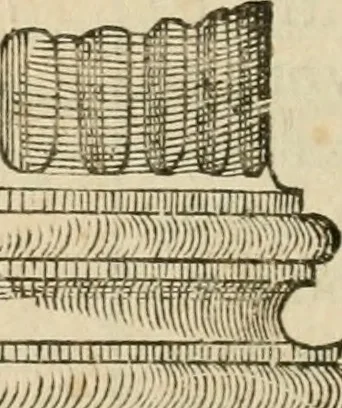 An illustration from Architecture de Philibert de l'Orme ... : uure entiere contenant onze livres, augmentée de deux, & autres figures non encores veuës, tant pour desseins qu'ornemens de maisons : avec vne belle inuention pour bien bastir, & à petits fraiz .., 1626, leaf 323