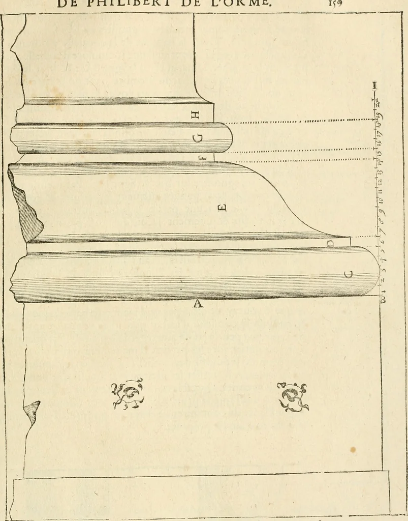 An illustration from Architecture de Philibert de l'Orme ... : uure entiere contenant onze livres, augmentée de deux, & autres figures non encores veuës, tant pour desseins qu'ornemens de maisons : avec vne belle inuention pour bien bastir, & à petits fraiz .., 1626, leaf 324