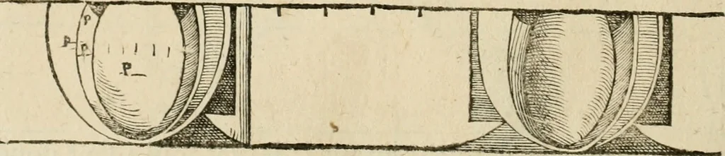 An illustration from Architecture de Philibert de l'Orme ... : uure entiere contenant onze livres, augmentée de deux, & autres figures non encores veuës, tant pour desseins qu'ornemens de maisons : avec vne belle inuention pour bien bastir, & à petits fraiz .., 1626, leaf 325