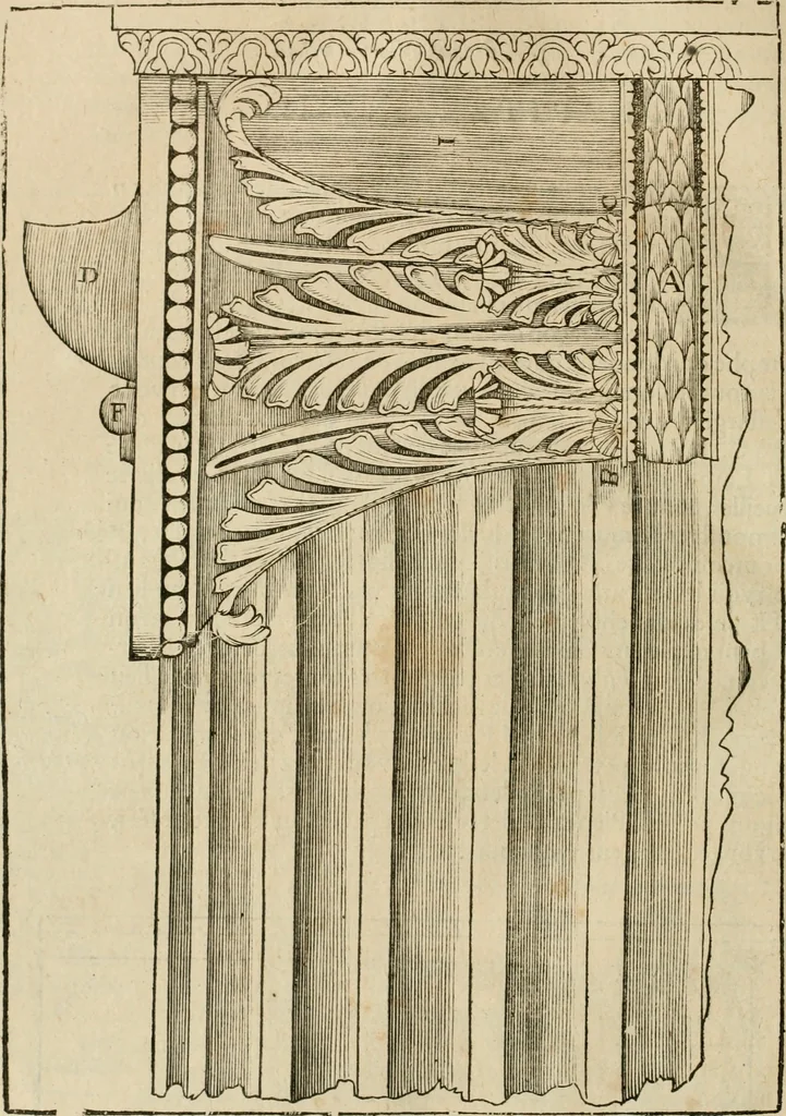 An illustration from Architecture de Philibert de l'Orme ... : uure entiere contenant onze livres, augmentée de deux, & autres figures non encores veuës, tant pour desseins qu'ornemens de maisons : avec vne belle inuention pour bien bastir, & à petits fraiz .., 1626, leaf 337