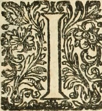An illustration from Architecture de Philibert de l'Orme ... : uure entiere contenant onze livres, augmentée de deux, & autres figures non encores veuës, tant pour desseins qu'ornemens de maisons : avec vne belle inuention pour bien bastir, & à petits fraiz .., 1626, leaf 338