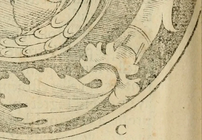 An illustration from Architecture de Philibert de l'Orme ... : uure entiere contenant onze livres, augmentée de deux, & autres figures non encores veuës, tant pour desseins qu'ornemens de maisons : avec vne belle inuention pour bien bastir, & à petits fraiz .., 1626, leaf 339