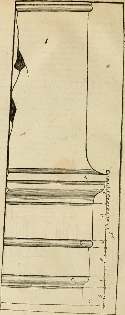 An illustration from Architecture de Philibert de l'Orme ... : uure entiere contenant onze livres, augmentée de deux, & autres figures non encores veuës, tant pour desseins qu'ornemens de maisons : avec vne belle inuention pour bien bastir, & à petits fraiz .., 1626, leaf 341