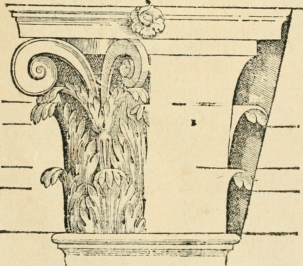 An illustration from Architecture de Philibert de l'Orme ... : uure entiere contenant onze livres, augmentée de deux, & autres figures non encores veuës, tant pour desseins qu'ornemens de maisons : avec vne belle inuention pour bien bastir, & à petits fraiz .., 1626, leaf 346