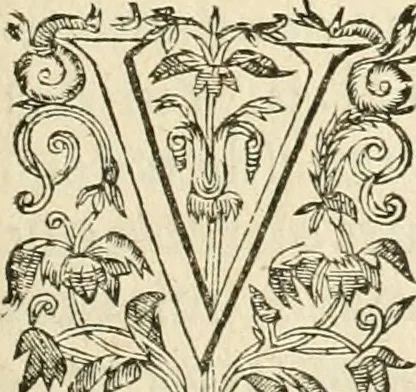 An illustration from Architecture de Philibert de l'Orme ... : uure entiere contenant onze livres, augmentée de deux, & autres figures non encores veuës, tant pour desseins qu'ornemens de maisons : avec vne belle inuention pour bien bastir, & à petits fraiz .., 1626, leaf 396