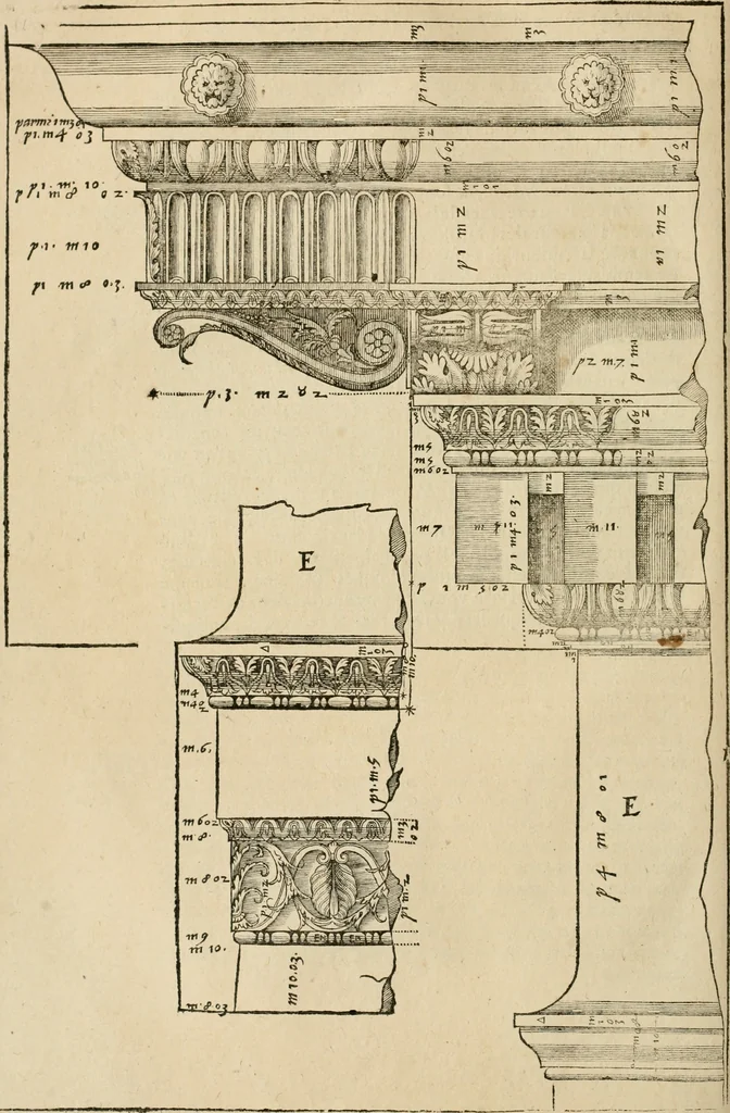 An illustration from Architecture de Philibert de l'Orme ... : uure entiere contenant onze livres, augmentée de deux, & autres figures non encores veuës, tant pour desseins qu'ornemens de maisons : avec vne belle inuention pour bien bastir, & à petits fraiz .., 1626, leaf 399