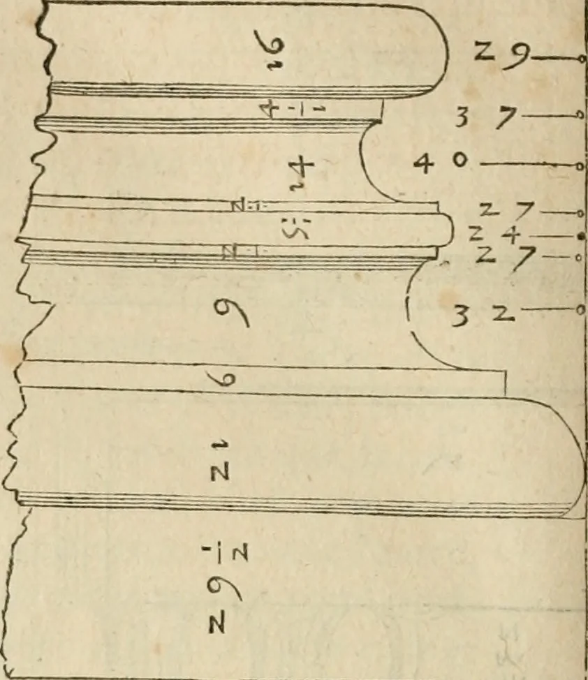 An illustration from Architecture de Philibert de l'Orme ... : uure entiere contenant onze livres, augmentée de deux, & autres figures non encores veuës, tant pour desseins qu'ornemens de maisons : avec vne belle inuention pour bien bastir, & à petits fraiz .., 1626, leaf 403