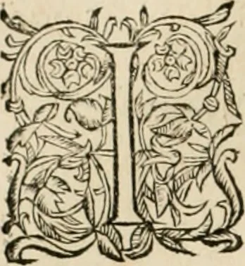 An illustration from Architecture de Philibert de l'Orme ... : uure entiere contenant onze livres, augmentée de deux, & autres figures non encores veuës, tant pour desseins qu'ornemens de maisons : avec vne belle inuention pour bien bastir, & à petits fraiz .., 1626, leaf 41
