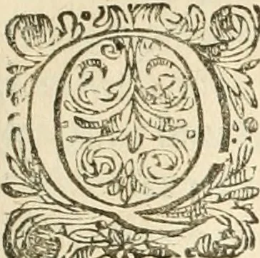 An illustration from Architecture de Philibert de l'Orme ... : uure entiere contenant onze livres, augmentée de deux, & autres figures non encores veuës, tant pour desseins qu'ornemens de maisons : avec vne belle inuention pour bien bastir, & à petits fraiz .., 1626, leaf 416