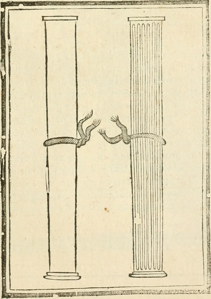 An illustration from Architecture de Philibert de l'Orme ... : uure entiere contenant onze livres, augmentée de deux, & autres figures non encores veuës, tant pour desseins qu'ornemens de maisons : avec vne belle inuention pour bien bastir, & à petits fraiz .., 1626, leaf 416