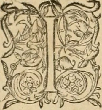 An illustration from Architecture de Philibert de l'Orme ... : uure entiere contenant onze livres, augmentée de deux, & autres figures non encores veuës, tant pour desseins qu'ornemens de maisons : avec vne belle inuention pour bien bastir, & à petits fraiz .., 1626, leaf 427
