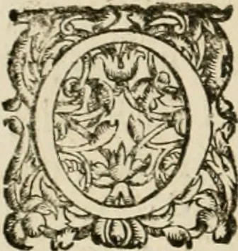 An illustration from Architecture de Philibert de l'Orme ... : uure entiere contenant onze livres, augmentée de deux, & autres figures non encores veuës, tant pour desseins qu'ornemens de maisons : avec vne belle inuention pour bien bastir, & à petits fraiz .., 1626, leaf 43