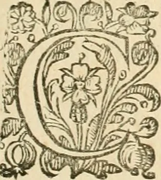 An illustration from Architecture de Philibert de l'Orme ... : uure entiere contenant onze livres, augmentée de deux, & autres figures non encores veuës, tant pour desseins qu'ornemens de maisons : avec vne belle inuention pour bien bastir, & à petits fraiz .., 1626, leaf 430