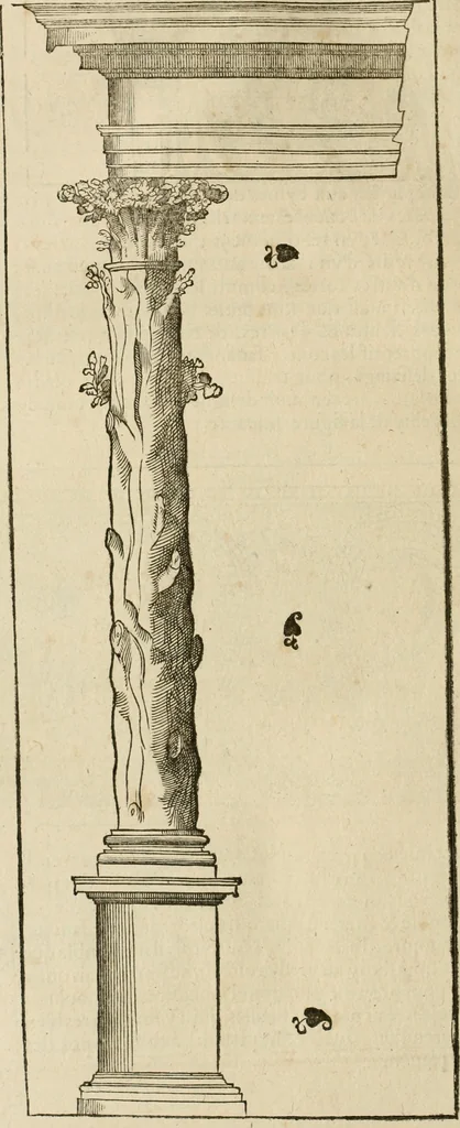 An illustration from Architecture de Philibert de l'Orme ... : uure entiere contenant onze livres, augmentée de deux, & autres figures non encores veuës, tant pour desseins qu'ornemens de maisons : avec vne belle inuention pour bien bastir, & à petits fraiz .., 1626, leaf 433