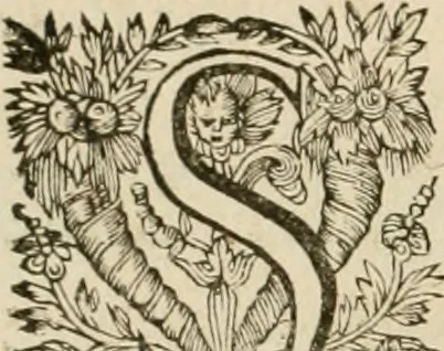 An illustration from Architecture de Philibert de l'Orme ... : uure entiere contenant onze livres, augmentée de deux, & autres figures non encores veuës, tant pour desseins qu'ornemens de maisons : avec vne belle inuention pour bien bastir, & à petits fraiz .., 1626, leaf 443