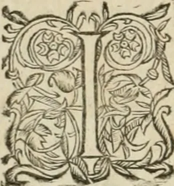 An illustration from Architecture de Philibert de l'Orme ... : uure entiere contenant onze livres, augmentée de deux, & autres figures non encores veuës, tant pour desseins qu'ornemens de maisons : avec vne belle inuention pour bien bastir, & à petits fraiz .., 1626, leaf 45