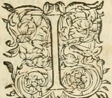 An illustration from Architecture de Philibert de l'Orme ... : uure entiere contenant onze livres, augmentée de deux, & autres figures non encores veuës, tant pour desseins qu'ornemens de maisons : avec vne belle inuention pour bien bastir, & à petits fraiz .., 1626, leaf 462