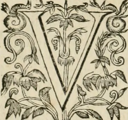 An illustration from Architecture de Philibert de l'Orme ... : uure entiere contenant onze livres, augmentée de deux, & autres figures non encores veuës, tant pour desseins qu'ornemens de maisons : avec vne belle inuention pour bien bastir, & à petits fraiz .., 1626, leaf 47