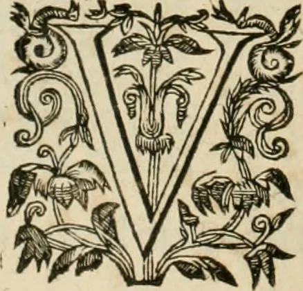 An illustration from Architecture de Philibert de l'Orme ... : uure entiere contenant onze livres, augmentée de deux, & autres figures non encores veuës, tant pour desseins qu'ornemens de maisons : avec vne belle inuention pour bien bastir, & à petits fraiz .., 1626, leaf 473