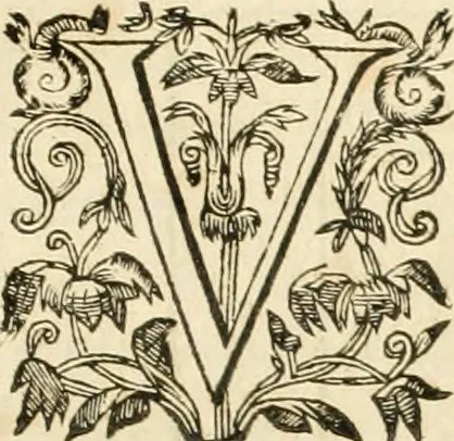 An illustration from Architecture de Philibert de l'Orme ... : uure entiere contenant onze livres, augmentée de deux, & autres figures non encores veuës, tant pour desseins qu'ornemens de maisons : avec vne belle inuention pour bien bastir, & à petits fraiz .., 1626, leaf 482