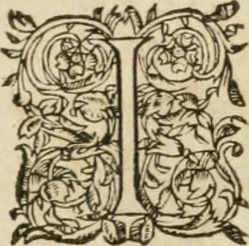 An illustration from Architecture de Philibert de l'Orme ... : uure entiere contenant onze livres, augmentée de deux, & autres figures non encores veuës, tant pour desseins qu'ornemens de maisons : avec vne belle inuention pour bien bastir, & à petits fraiz .., 1626, leaf 489