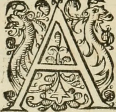 An illustration from Architecture de Philibert de l'Orme ... : uure entiere contenant onze livres, augmentée de deux, & autres figures non encores veuës, tant pour desseins qu'ornemens de maisons : avec vne belle inuention pour bien bastir, & à petits fraiz .., 1626, leaf 517