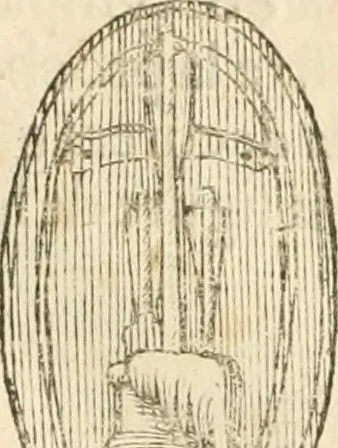 An illustration from Architecture de Philibert de l'Orme ... : uure entiere contenant onze livres, augmentée de deux, & autres figures non encores veuës, tant pour desseins qu'ornemens de maisons : avec vne belle inuention pour bien bastir, & à petits fraiz .., 1626, leaf 518