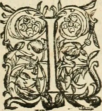 An illustration from Architecture de Philibert de l'Orme ... : uure entiere contenant onze livres, augmentée de deux, & autres figures non encores veuës, tant pour desseins qu'ornemens de maisons : avec vne belle inuention pour bien bastir, & à petits fraiz .., 1626, leaf 520