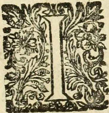 An illustration from Architecture de Philibert de l'Orme ... : uure entiere contenant onze livres, augmentée de deux, & autres figures non encores veuës, tant pour desseins qu'ornemens de maisons : avec vne belle inuention pour bien bastir, & à petits fraiz .., 1626, leaf 536