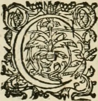 An illustration from Architecture de Philibert de l'Orme ... : uure entiere contenant onze livres, augmentée de deux, & autres figures non encores veuës, tant pour desseins qu'ornemens de maisons : avec vne belle inuention pour bien bastir, & à petits fraiz .., 1626, leaf 547