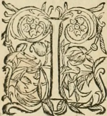 An illustration from Architecture de Philibert de l'Orme ... : uure entiere contenant onze livres, augmentée de deux, & autres figures non encores veuës, tant pour desseins qu'ornemens de maisons : avec vne belle inuention pour bien bastir, & à petits fraiz .., 1626, leaf 565