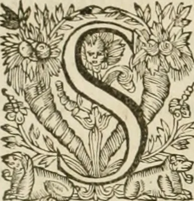 An illustration from Architecture de Philibert de l'Orme ... : uure entiere contenant onze livres, augmentée de deux, & autres figures non encores veuës, tant pour desseins qu'ornemens de maisons : avec vne belle inuention pour bien bastir, & à petits fraiz .., 1626, leaf 609