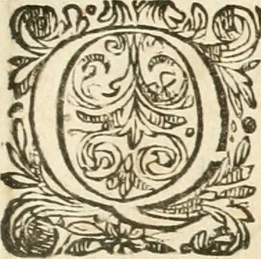 An illustration from Architecture de Philibert de l'Orme ... : uure entiere contenant onze livres, augmentée de deux, & autres figures non encores veuës, tant pour desseins qu'ornemens de maisons : avec vne belle inuention pour bien bastir, & à petits fraiz .., 1626, leaf 622