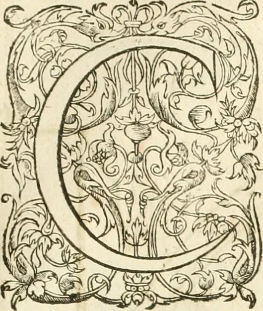 An illustration from Architecture de Philibert de l'Orme ... : uure entiere contenant onze livres, augmentée de deux, & autres figures non encores veuës, tant pour desseins qu'ornemens de maisons : avec vne belle inuention pour bien bastir, & à petits fraiz .., 1626, leaf 624